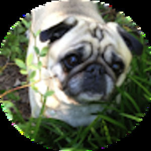 Meet your Posher, Janie